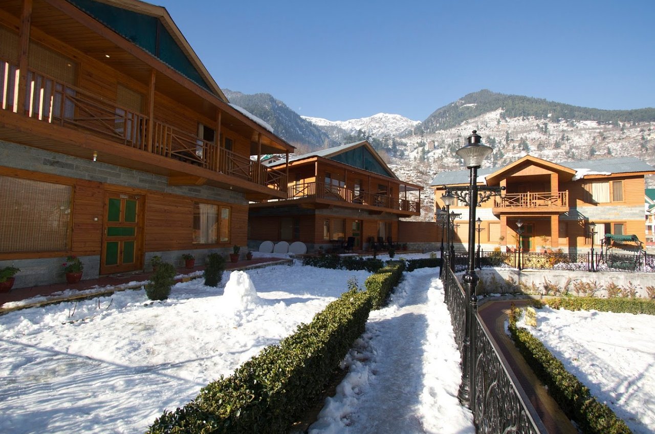 Daffodil Cottage, Manali image