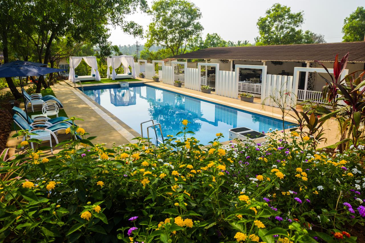 White Woods Resort & Spa, Goa image